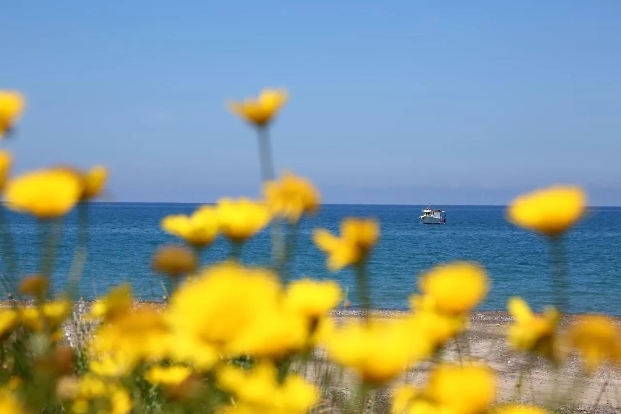 Holiday home Casa Cocuzzola Villa Cefalu